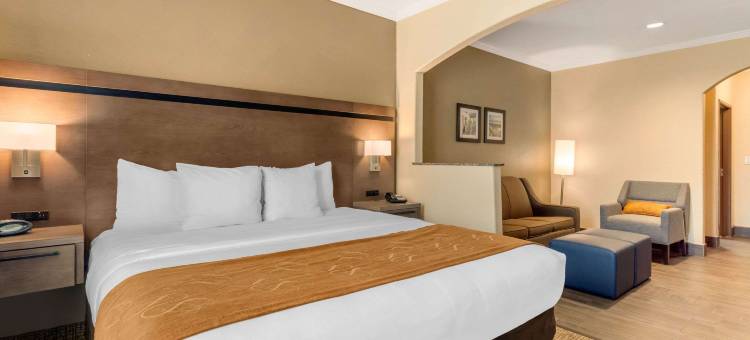 贝敦I10舒适套房酒店(Comfort Suites Baytown I – 10)图片