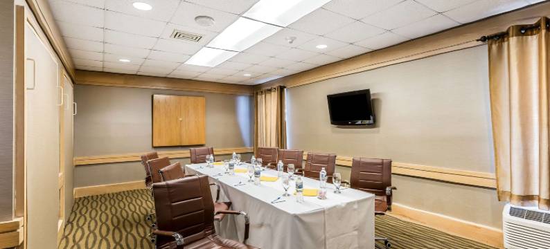 舒适酒店-盖瑟斯堡罗克维尔凉荫丛(Comfort Inn Shady Grove - Gaithersburg - Rockville)图片