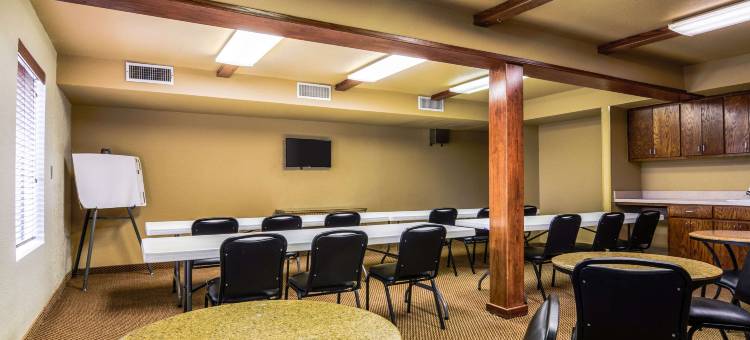 凯艺套房酒店(Quality Inn & Suites)图片