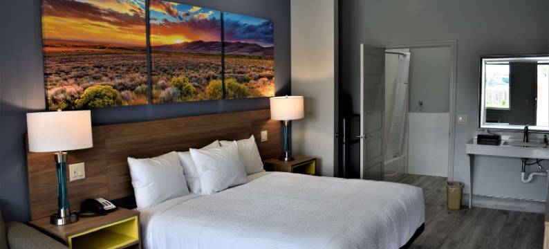 市中心休斯顿大学温德姆戴斯套房酒店(Days Inn & Suites by Wyndham Downtown/University of Houston)图片