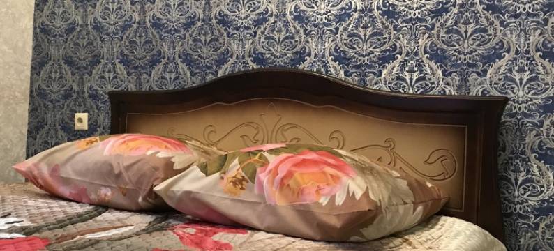 切尔西卡施基德沃尔酒店(Hotel Chasy Kashirsky Dvor)图片