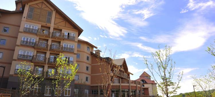 平昌阿尔卑西亚假日套房酒店(Holiday Inn & Suites Alpensia Pyeongchang)图片