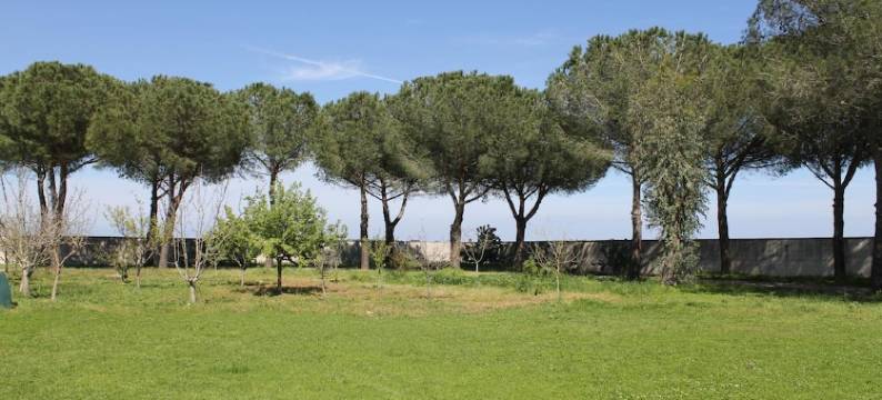 皮尼 16 别墅家庭旅馆(B&B Villa 16 Pini)图片