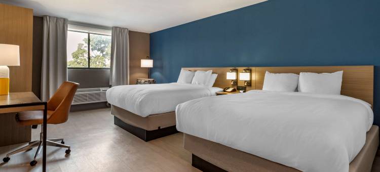 切斯特戴斯酒店(Comfort Inn Philadelphia International Airport West)图片