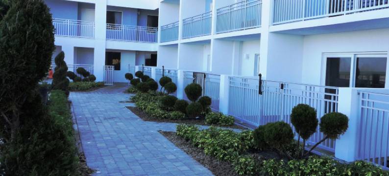 莲花精品套房酒店(Lotus Boutique Inn and Suites)图片