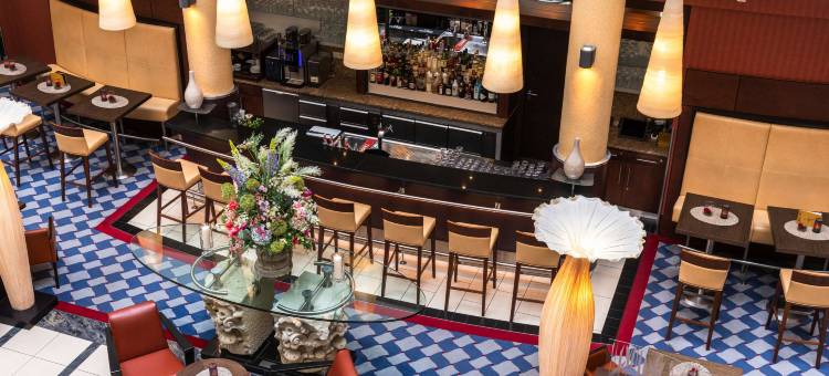 德累斯顿德萨克斯施柏阁酒店(Steigenberger Hotel de Saxe)图片