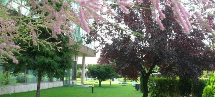 巴拉哈斯美利亚酒店(Melia Barajas)图片