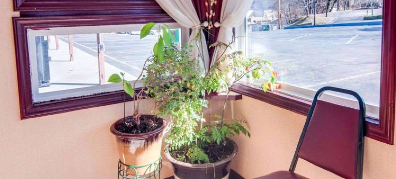 伊克诺旅馆加莱克斯(Econo Lodge)图片