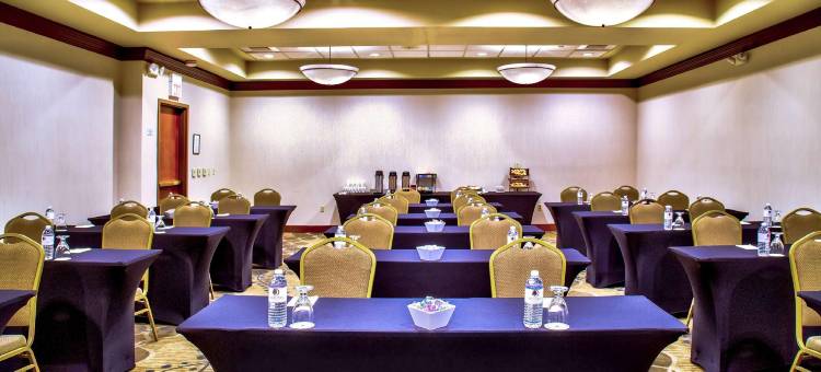 拉斯维加斯机场俱乐部逸林酒店(DoubleTree by Hilton Las Vegas Airport)图片