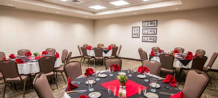 安眠套房酒店及会议中心(Sleep Inn & Suites Garden City)图片