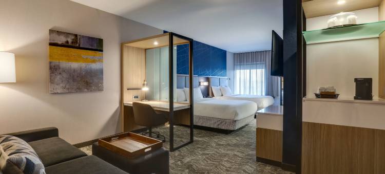 奇罗春丘酒店(SpringHill Suites Cheraw)图片