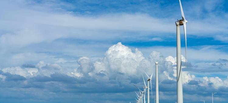 玉坤田商旅图片