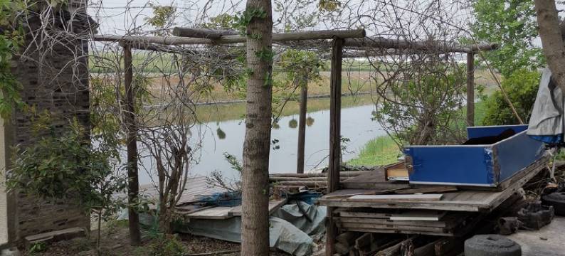 扬州古风美宿度假别墅(黄樊线分店)图片
