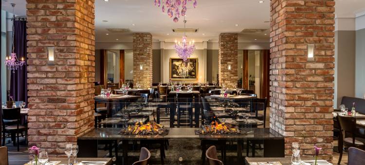 杜塞尔多夫/诺伊斯德林特克格斯酒店(Dorint Kongresshotel Düsseldorf/Neuss)图片