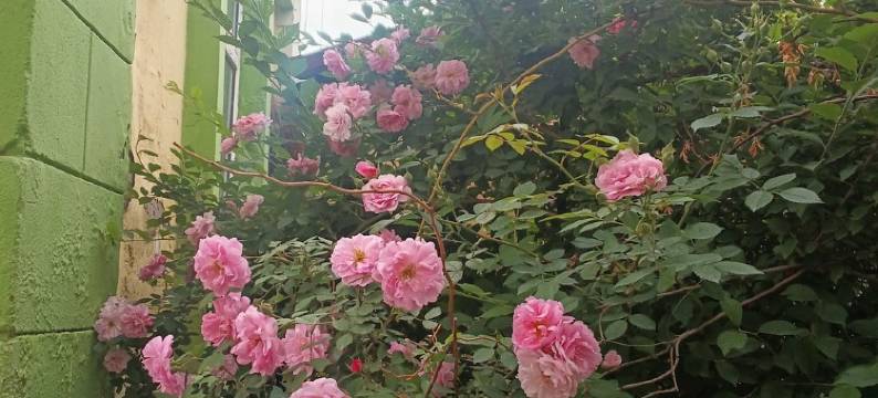 姐姐的民宿(北头道街分店)图片