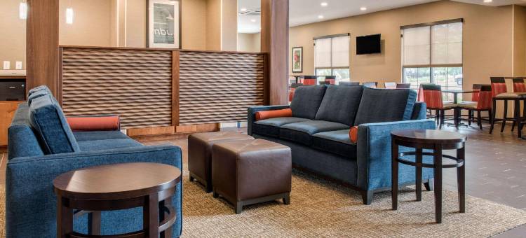 哥伦布机场舒适套房酒店(Comfort Suites Columbus Airport)图片