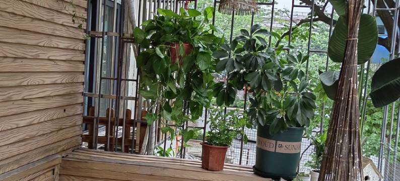 花草时光精品西湖祝屋巷美食街民宿(下角东路分店)图片