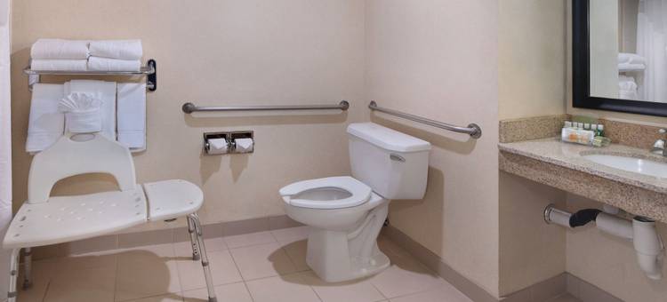 阿纳海姆假日套房酒店(Holiday Inn & Suites Anaheim (1 Blk/Disneyland®))图片