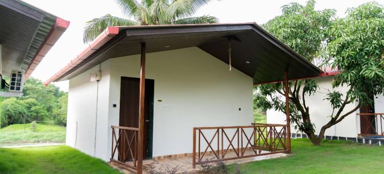 Mangozzz Magical World图片