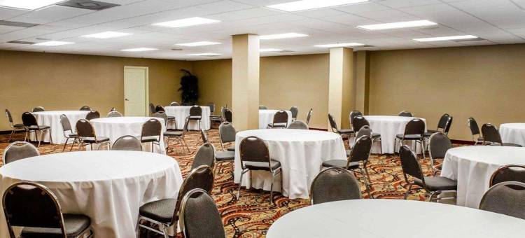 罗利核桃溪舒适套房酒店(Comfort Suites Raleigh Walnut Creek)图片