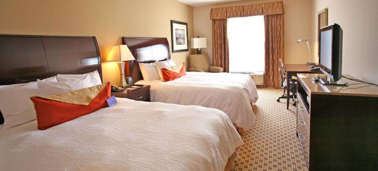 希尔顿花园旅馆-辛辛那提布鲁艾施镇(Hilton Garden Inn Cincinnati Blue Ash)图片