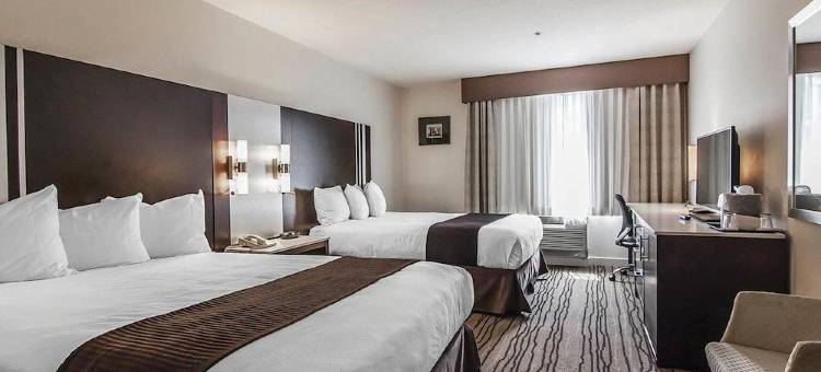 温哥华机场Comfort酒店(Comfort Hotel Vancouver Airport)图片