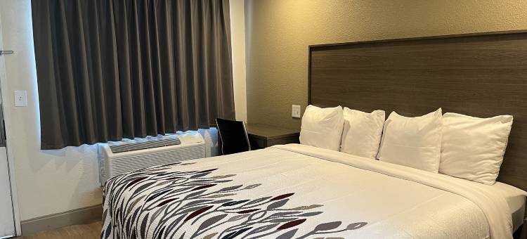 Red Roof Inn Haltom市城市(Red Roof Inn Haltom City)图片