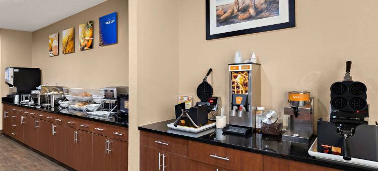 拉斯克鲁塞斯综合康福特套房套房(Comfort Suites University)图片