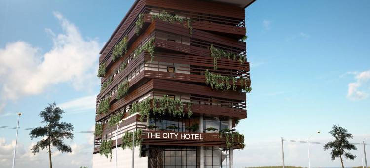 城市酒店(The City Hotel)图片
