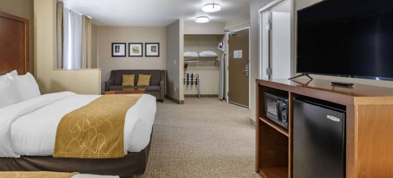 科拉尔维尔I-80舒适套房酒店(Comfort Suites Coralville I-80)图片