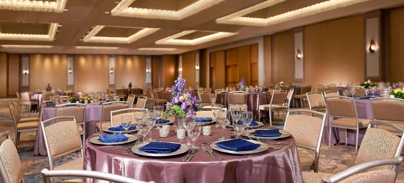 达拉斯中央公园威斯汀酒店(The Westin Dallas Park Central)图片