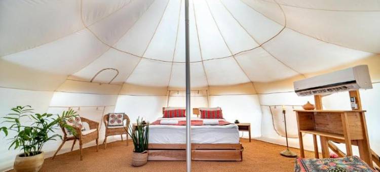 Selina拉蒙(Selina Ramon)图片