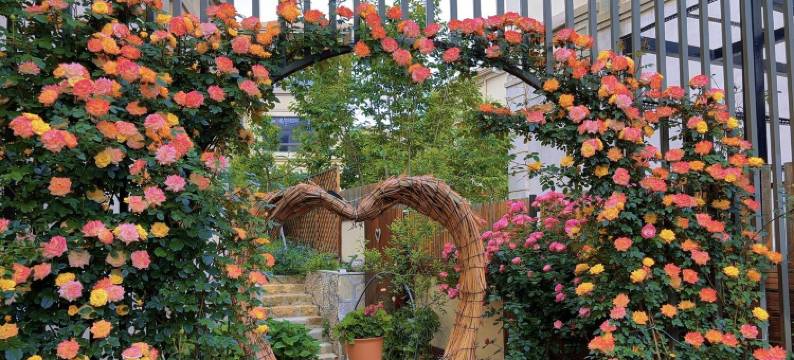 绿姥姥度假别墅(海滨东路1号分店)图片