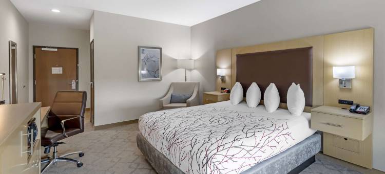 奇克谢贝斯特韦斯特优质酒店(Best Western Plus Chickasha Inn)图片