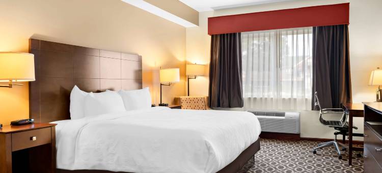 天堂贝斯特韦斯特酒店(Best Western Paradise Inn)图片