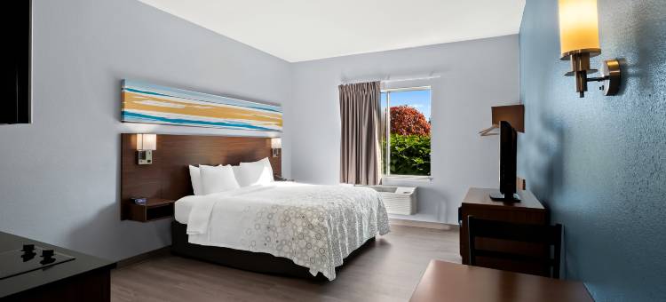 东兰辛家乡一室公寓-奥克莫斯(HomeTowne Studios East Lansing - Okemos)图片