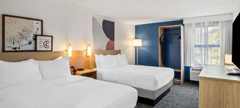 史蒂文斯维尔希尔顿Spark酒店(Spark by Hilton Stevensville)图片