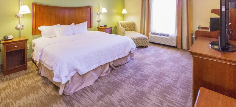 布莱尔斯维尔欢朋套房酒店(Hampton Inn & Suites Blairsville)图片