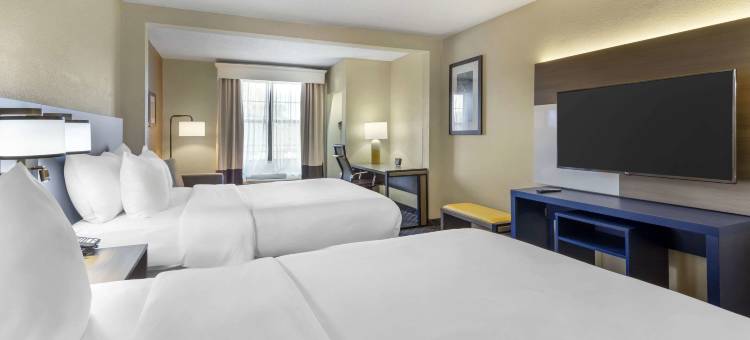 哈尼斯商场舒适套房酒店(Comfort Suites Hanes Mall)图片