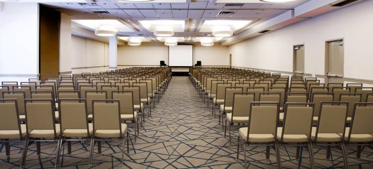 底特律利沃尼诺维希尔顿安泊酒店(Embassy Suites by Hilton Detroit Livonia Novi)图片