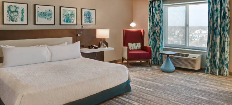 堪萨斯城希尔顿花园酒店(Hilton Garden Inn Kansas City/Kansas)图片