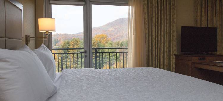 北卡州布恩欢朋酒店及套房(Hampton Inn & Suites Boone)图片