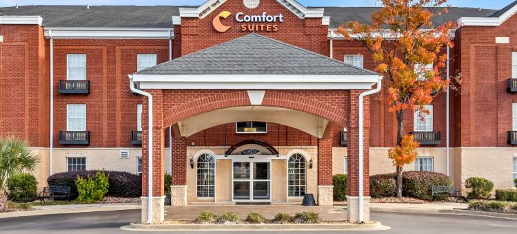 舒适套房酒店(Comfort Suites)图片