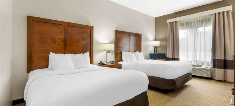 布朗斯维尔I-40舒适酒店(Comfort Inn Brownsville I-40)图片