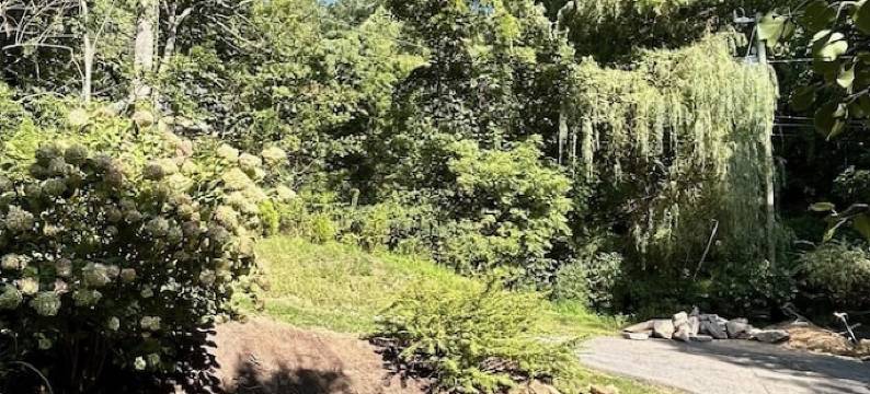 Luxury Mountain Home 7Br 7.5B wt Hot Tub, Outdoor Sauna, Cold Plunge, Fire Pit图片