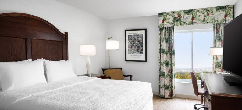 欢朋酒店及套房-圣胡安(Hampton Inn & Suites by Hilton San Juan)图片