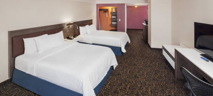 蒙特利尔中心希尔顿花园酒店(Hilton Garden Inn Montreal Centre-Ville)图片