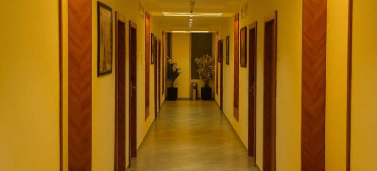 Dasara Executive图片