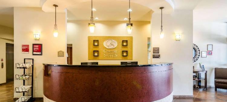 舒适套房酒店(Comfort Suites Gothenburg)图片