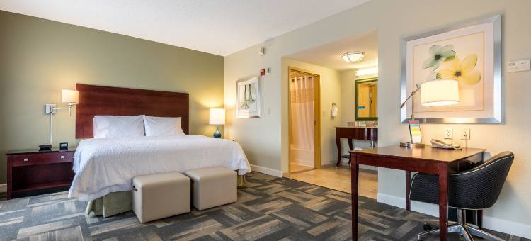 奥兰多南布埃纳维斯塔湖欢朋套房酒店(Hampton Inn & Suites Orlando-South Lake Buena Vista)图片